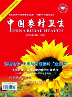 中国农村卫生杂志投稿