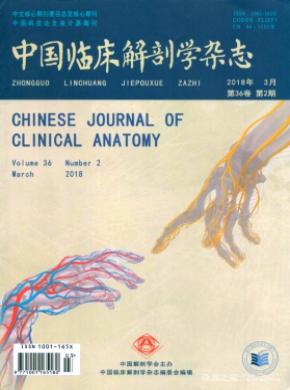 中国临床解剖学杂志投稿