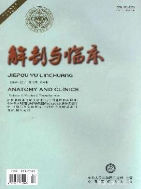 中华解剖与临床杂志投稿