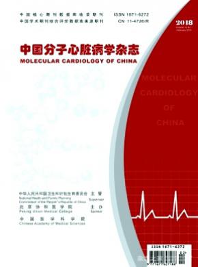 中国分子心脏病学杂志投稿