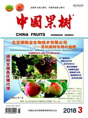 中国果树杂志投稿