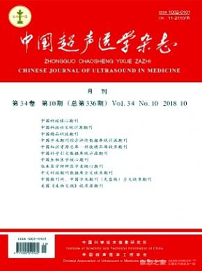 中国超声医学杂志投稿
