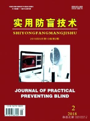 实用防盲技术杂志投稿