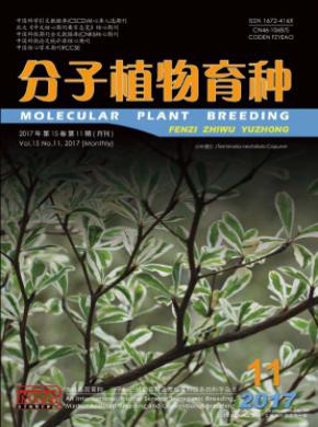 分子植物育种杂志投稿