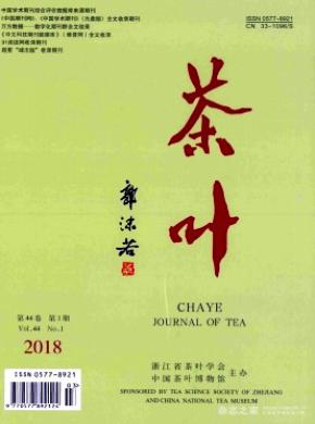 茶叶杂志