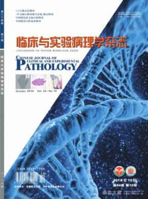 临床与实验病理学杂志投稿