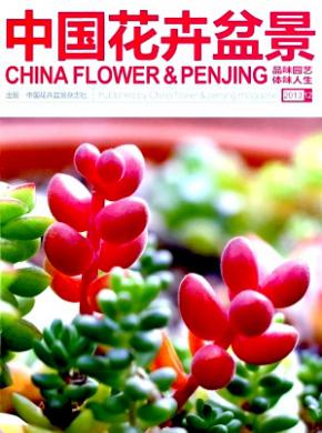 中国花卉盆景杂志投稿
