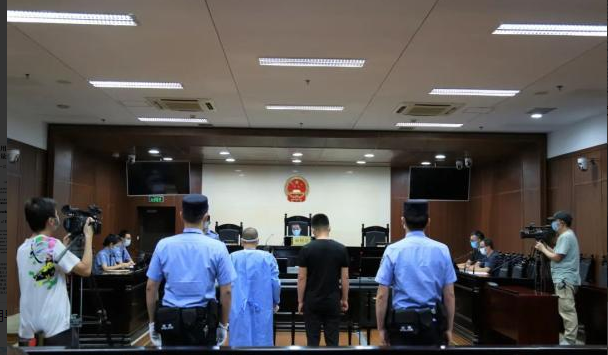 污染环境罪的认定——以袁某污染环境案为例论文