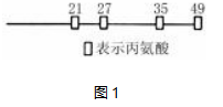 搜狗截图22年12月11日1237_21.png