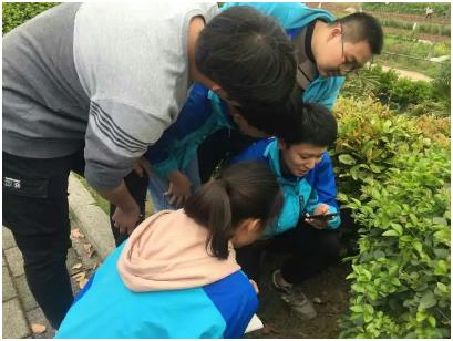“草木皆缤—走进植物配置”课程教学改革的有效路径论文