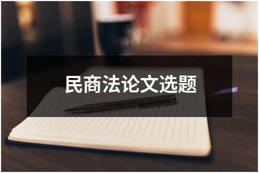 民商法的现状及展望论文