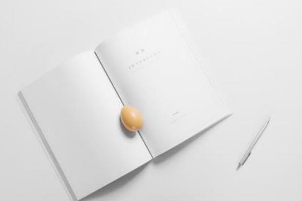企业合规监管框架构想论文