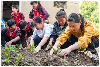 中小学劳动教育课程开发的路径论文