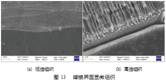 搜狗截图23年02月13日1354_14.png