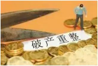 从破产管理人职业化及其主管单位谈《破产法》论文