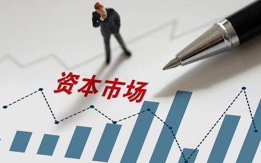 职业年金基金进入资本市场运营现状及思考论文