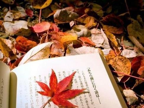 生态环境损害赔偿诉讼与环境民事公益诉讼衔接研究论文