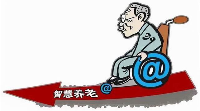 “互联网 +”背景下精准化养老服务的发展现状及对策研究论文