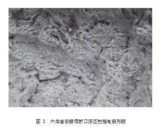 360截图20230324162740944.jpg