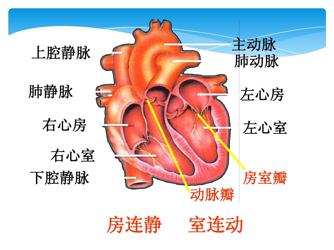 360截图20230324162740944.jpg