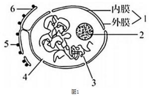 360截图20230321163045713.jpg