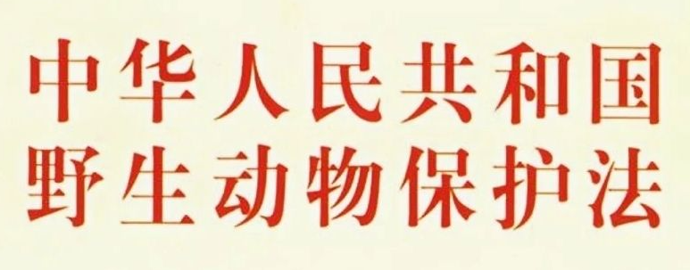 微信截图_20230706143625.png
