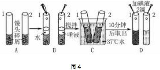 Dingtalk_20230731111335.jpg
