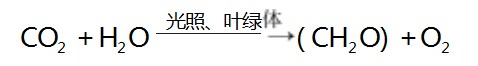 Dingtalk_20230731111259.jpg