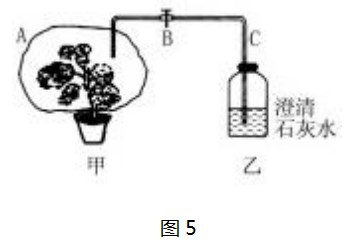 Dingtalk_20230731111400.jpg