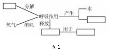 Dingtalk_20230731112234.jpg