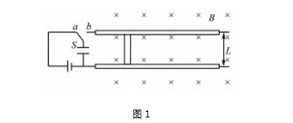 785.jpg