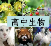 搜狗高速浏览器截图20230928161533.png