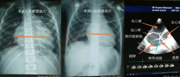 搜狗高速浏览器截图20231008174225.png