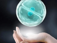 搜狗高速浏览器截图20231012165846.png