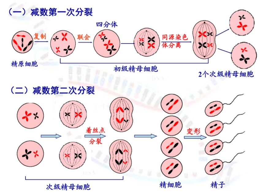 Dingtalk_20231109140051.jpg