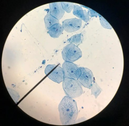 Dingtalk_20231122110150.jpg