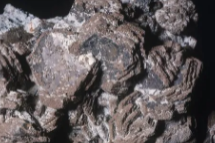 搜狗高速浏览器截图20231127172118.png