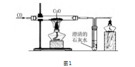 C5603CA3-FDC1-4a3a-B231-AA50943AFB6D.png
