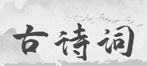 360截图20230321164425995.jpg
