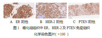 68713BB8-F37C-45dc-96ED-DA5B3E1B06F2.png