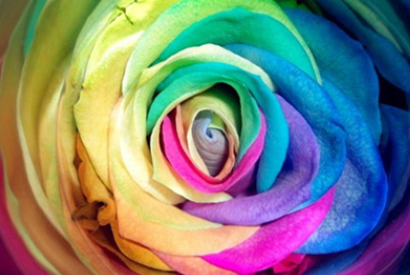 4D05AC6C-C6B0-429d-82F5-95EEC5CCF692.png