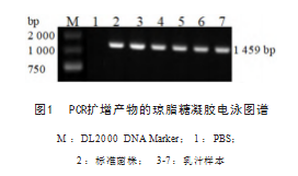 28B523A3-4F75-4dc1-81D6-CDD7EC411738.png