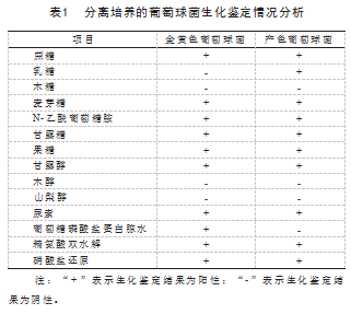 36C44920-9FA6-4908-8032-BB31952D06FA.png