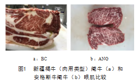 48875558-9F1A-4bea-B568-85F068249955.png