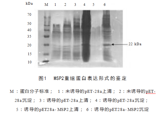 1157bbe3ebce96ae28549d55c1ebf53.png