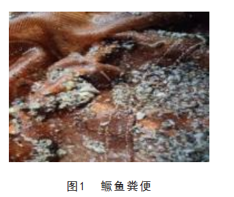 4ae5b229ce3ea17691550f5599dcad6.png