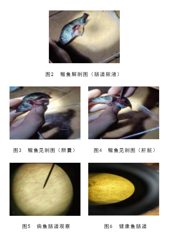 ee7acb9d925cb9a3b3e10409fbaeebe.png