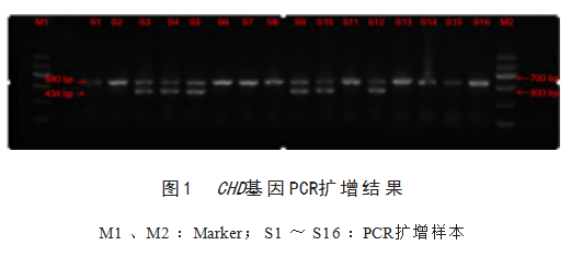 67cc3120ead0a1cc8d55dd7c48b7c8f.png