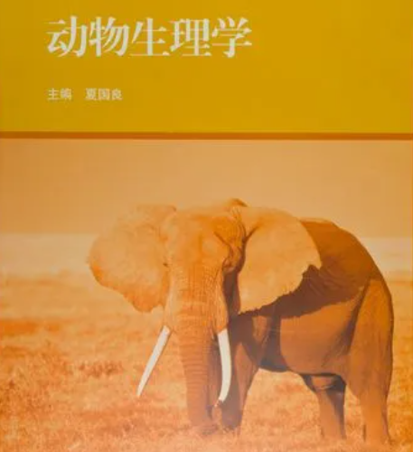 e44919e1db93954e40e3d1a47e65e29.png