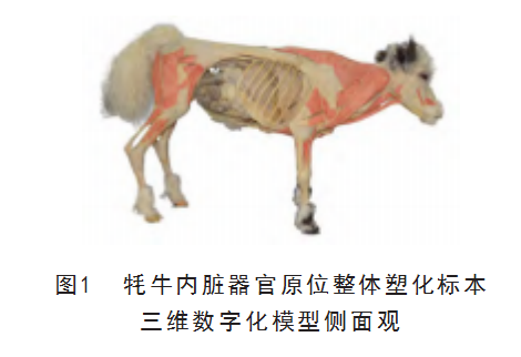 907056cd61f9ebcd017e4e71a22ce7e.png